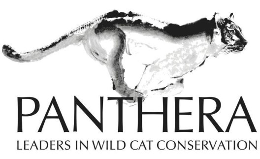 PantheraLogo700pixelwide